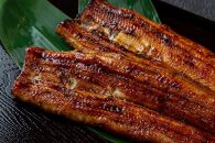 【うなぎ昊】天空うなぎ蒲焼（2尾）