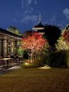 【BENOIT（ブノワ）&nbsp;Kyoto】ディナーコース&nbsp;ペアチケット