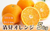 ［魚鶴商店厳選］和歌山人気の柑橘定期便（有田みかん・不知火・清見オレンジ）［定期便全3回］［UT116］