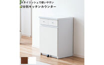 大川家具&nbsp;ゴミ箱&nbsp;カウンター&nbsp;ダストカウンター&nbsp;幅55cm&nbsp;コンセント付き&nbsp;ゴミの分別ができる【ホワイト】