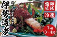 活き〆冷凍銚子黒潮海老（伊勢海老） 1kg（３～4尾）