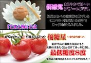 tomato-ume　とまと梅（塩分約８%）100g×５個　A-079