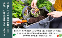 （福岡市）3週間のコンポスト体験と野菜栽培ができるLFCガーデニングセット