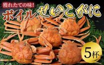 【年内発送】ボイルせいこがに 5杯 《2024年11月6日解禁！獲れたての味！》 ／【年内配送】 期間限定 茹で ボイル 冷蔵 蟹 カニ 福井県 あわら市 海鮮 冬 旬