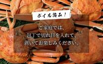 【年内発送】ボイルせいこがに 5杯 《2024年11月6日解禁！獲れたての味！》 ／【年内配送】 期間限定 茹で ボイル 冷蔵 蟹 カニ 福井県 あわら市 海鮮 冬 旬