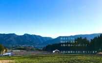 【約3kg】庄内梨の藤原　お楽しみセレクト　樹上完熟☆農家直送　8月上旬から発送　期間限定　大分県由布市特産品　＜庄内梨の藤原＞ | 期間限定 数量限定 季節限定 果物 フルーツ 梨 幸水 豊水 あきづき 新高 豊里 完熟 3kg 送料無料 湯布院 由布院 大分県 大分 九州 ゆふいん BR001