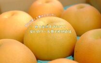 【約3kg】庄内梨の藤原　お楽しみセレクト　樹上完熟☆農家直送　8月上旬から発送　期間限定　大分県由布市特産品　＜庄内梨の藤原＞ | 期間限定 数量限定 季節限定 果物 フルーツ 梨 幸水 豊水 あきづき 新高 豊里 完熟 3kg 送料無料 湯布院 由布院 大分県 大分 九州 ゆふいん BR001