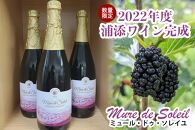 【数量限定】2022年度産 浦添ワイン Mure de Soleil（ミュール・ドゥ・ソレイユ）