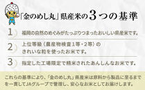 米&nbsp;10kg&nbsp;福岡県産&nbsp;めし丸&nbsp;元気つくし&nbsp;10kg&nbsp;(5kg×2)&nbsp;|&nbsp;白米&nbsp;お米&nbsp;こめ&nbsp;コメ&nbsp;精米&nbsp;10kg&nbsp;10キロ&nbsp;おこめ&nbsp;米10キロ&nbsp;米10kg&nbsp;新米&nbsp;おいしい&nbsp;美味しい&nbsp;ご当地&nbsp;九州&nbsp;お取り寄せ&nbsp;グルメ&nbsp;食品&nbsp;福岡&nbsp;福岡市