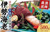 活き〆冷凍銚子黒潮海老（伊勢海老）250～500g　0.5kg（1～2尾）