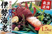 活き〆冷凍銚子黒潮海老（伊勢海老）500~600g　1.5kg（3尾）