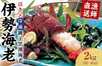 活き〆冷凍銚子黒潮海老（伊勢海老）300~400g　2kg（6～8尾）