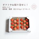 雪国完熟いちご越後姫桃薫　食べ比べセット　 約200g×2P