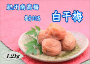 【家庭用】紀州南高梅　白干梅　1.2kg