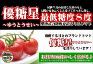 こく旨tomato調味料　150ml×8本