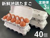 阿蘇の新鮮たまご～3ヶ月定期便～　波野地鶏有精卵40個×3回