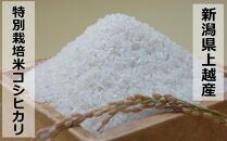 上越産新潟県認証特別栽培米コシヒカリ５Kg　令和４年度産