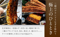 【うなぎ昊】お食事券&nbsp;5000円券×2枚&nbsp;|&nbsp;京都&nbsp;鰻専門店&nbsp;人気&nbsp;食事券［&nbsp;3つのブランドうなぎ&nbsp;天空うなぎ&nbsp;土佐のいごっそう&nbsp;筑紫金うなぎ&nbsp;食事券&nbsp;ギフト券&nbsp;美食&nbsp;グルメ&nbsp;人気&nbsp;おすすめ&nbsp;記念&nbsp;お祝い&nbsp;旅行&nbsp;観光&nbsp;食事&nbsp;ふるさと納税&nbsp;］