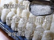 雪むろ棚田米コシヒカリ5kg精白米