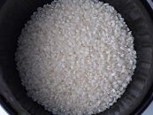 雪むろ棚田米コシヒカリ2kg精白米