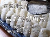 雪むろ棚田米コシヒカリ5kg玄米