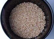 雪むろ棚田米コシヒカリ20kg玄米