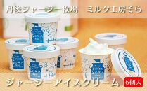 【お中元ギフト】ジャージーアイスクリーム6ヶ入り（簡易包装）