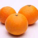 ＜2月より発送＞厳選きよみオレンジ4.7kg+141g（傷み補償分）　【光センサー選果】【樹上完熟清見オレンジ・清見タンゴール・清美】