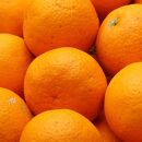＜2月より発送＞家庭用きよみオレンジ6kg+180g（傷み補償分）　【光センサー選果】【樹上完熟清見オレンジ・清見タンゴール・清美】【訳あり・わけあり】