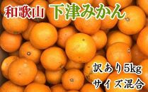 【訳あり】和歌山下津みかん約5kgご家庭用向け(サイズ混合) ★2024年11月中旬頃より順次発送【TM77】