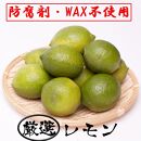 ＜9月より発送＞厳選 黒潮レモン3.5kg+105g（傷み補償分）【和歌山有田産】【防腐剤・WAX不使用、安心の国産レモン】