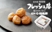 紀州南高梅 塩分ひかえめ フレッシュ梅 塩分6% 1.2kg Mサイズ