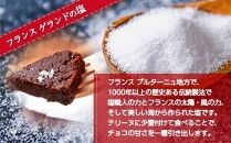 テリーヌ・ド・ショコラ フランスゲランド塩付き 1本 テリーヌ ショコラ 濃厚 チョコレート チョコ 塩 洋菓子 焼き菓子 菓子 お菓子 スイーツ 贈り物 プレゼント ギフト エイセンドウ 新潟県 南魚沼市