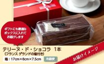 テリーヌ・ド・ショコラ フランスゲランド塩付き 1本 テリーヌ ショコラ 濃厚 チョコレート チョコ 塩 洋菓子 焼き菓子 菓子 お菓子 スイーツ 贈り物 プレゼント ギフト エイセンドウ 新潟県 南魚沼市