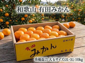 ［大玉サイズ(２Ｌ・３Ｌ）・秀／優混合］早生みかん≪10kg≫和歌山有田産！［予約販売］［数量限定］まる隆果樹園