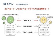 銀イオン除菌消臭剤【銀精】スプレータイプ3点セット