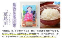 【令和5年産】福井のお米 食べ比べセット 2kg×3種 計6kg ／ 福井県産 ブランド米 ハナエチゼン コシヒカリ いちほまれ 精米 白米 食べ比べ