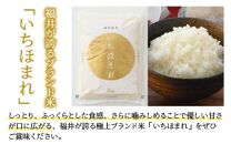 【令和5年産】福井のお米 食べ比べセット 2kg×3種 計6kg ／ 福井県産 ブランド米 ハナエチゼン コシヒカリ いちほまれ 精米 白米 食べ比べ