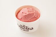 【福岡市 Soy Chocola】ヴィーガンSOYアイスクリーム　６個セット（ミニカップ６種類）（100%植物性・グルテンフリー）