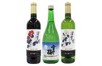新潟地酒ワイン 720ml 3本セット　雪中梅純米・岩の原ワイン深雪花赤・白