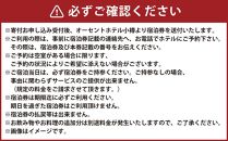 オーセントホテル小樽 ペア宿泊券 1泊2食付き デラックスツインルーム&夕食