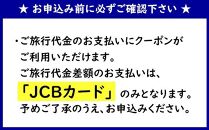 【糸満市】JCBトラベルふるさと納税旅行クーポン（15,000円分）※JCBカード会員限定