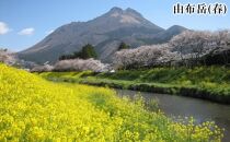 【湯布院、由布院、湯平、塚原高原】JCBトラベルふるさと納税旅行クーポン（150,000円分）※JCBカード会員限定 | 宿泊券 宿泊 旅行券 温泉 観光 旅行 ホテル 旅館 クーポン チケット トラベルクーポン トラベル ゆふいん 人気 おすすめ 大分県 由布市 JCBT04