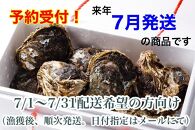 【予約！来年７月発送】ヨコタ礁天然岩牡蠣（生食用）大６個