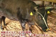 神戸牛 幸せ運ぶ 赤身すき焼き用 ギフト 500ｇ