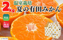 【5月出荷予定】ハウスみかん&nbsp;温室栽培&nbsp;夏の有田みかん&nbsp;2kg&nbsp;秀品&nbsp;S・M・Lサイズのいずれか&nbsp;&nbsp;和歌山県&nbsp;産地直送&nbsp;みかんの会