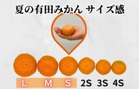 夏の有田みかん (約1kg) と有田のみかんジュース（500ml×2本）和歌山県産 産地直送