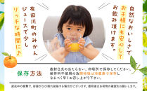 有田のみかんジュース&nbsp;500ml×12本&nbsp;&nbsp;和歌山県産&nbsp;有田みかん使用&nbsp;無添加&nbsp;100％&nbsp;ストレート