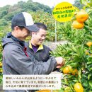 迫力満点 大粒 有田みかん 約4kg［先行予約］［果汁たっぷり］［MS15］