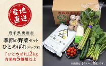 江刺金札米ひとめぼれ パック米と岩手県産野菜セット